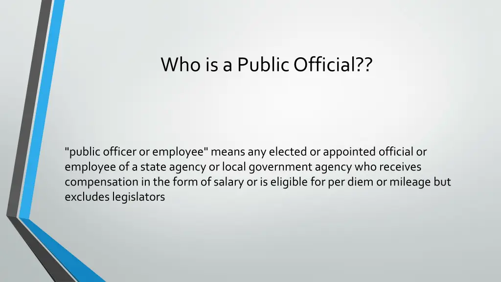 who is a public official