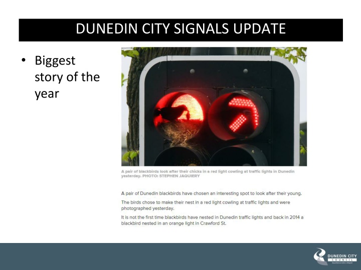 dunedin city signals update