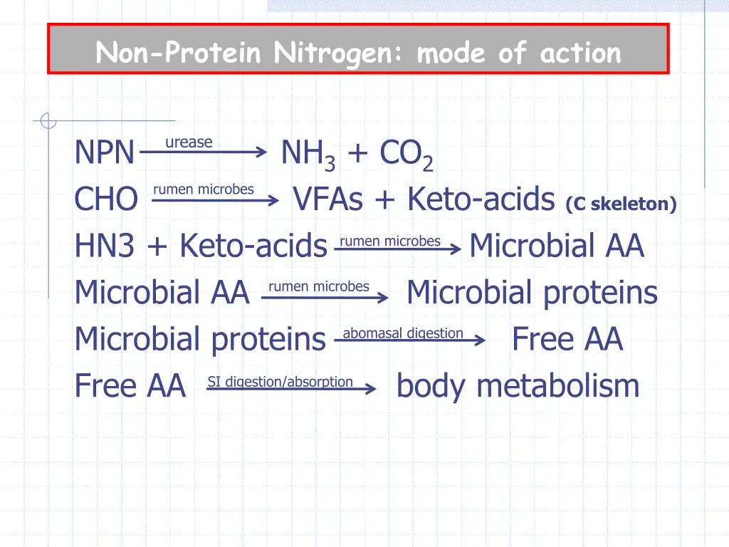 non protein nitrogen mode of action