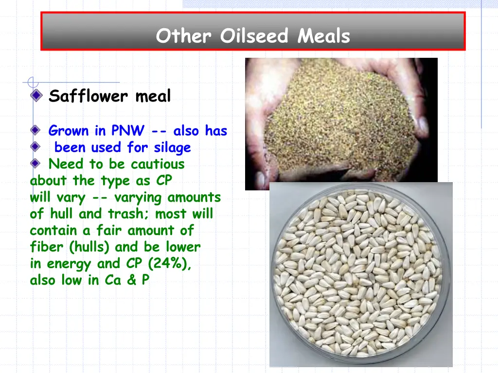 other oilseed meals