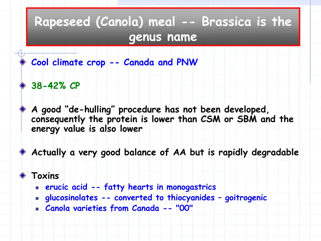 rapeseed canola meal brassica is the genus name