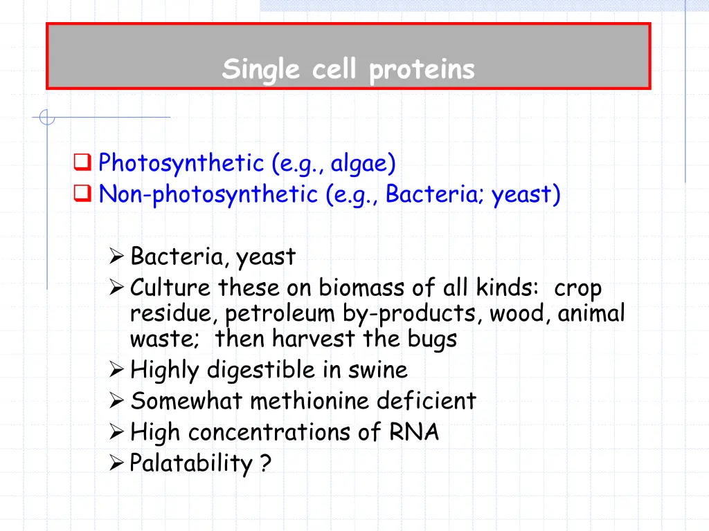 single cell proteins