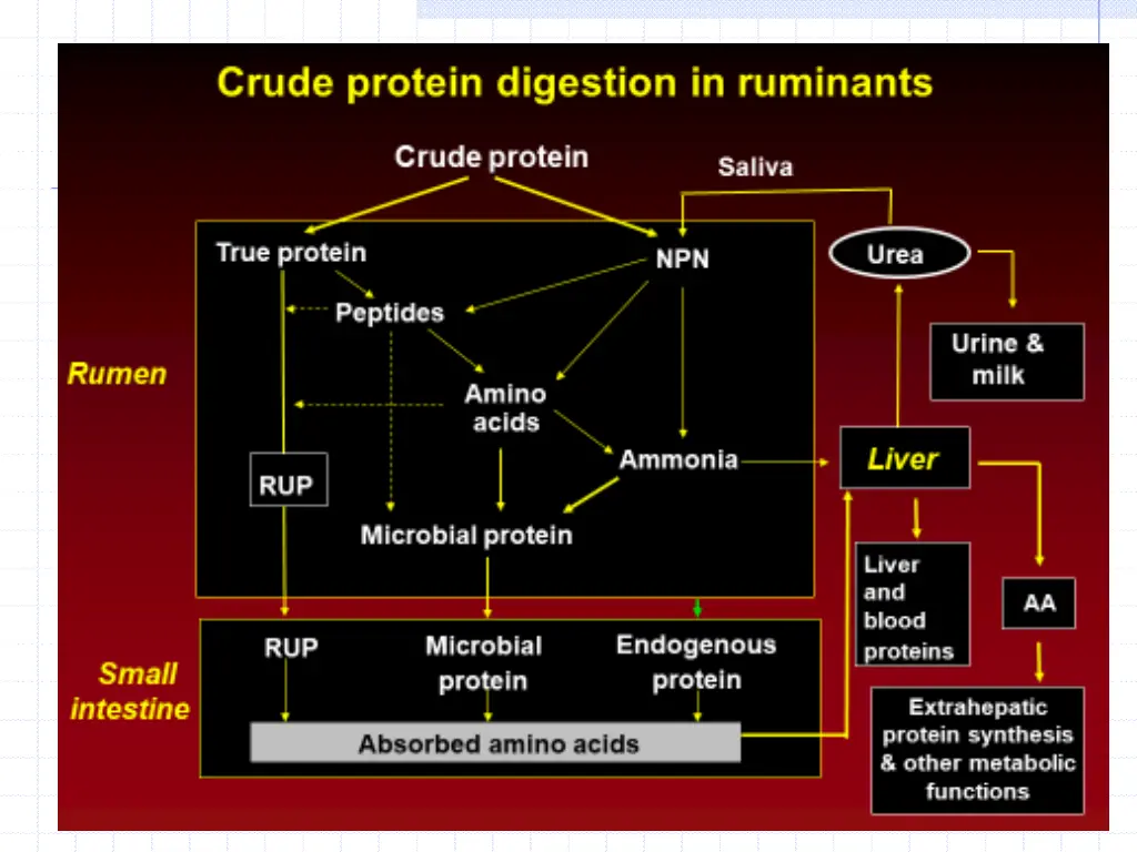 slide4