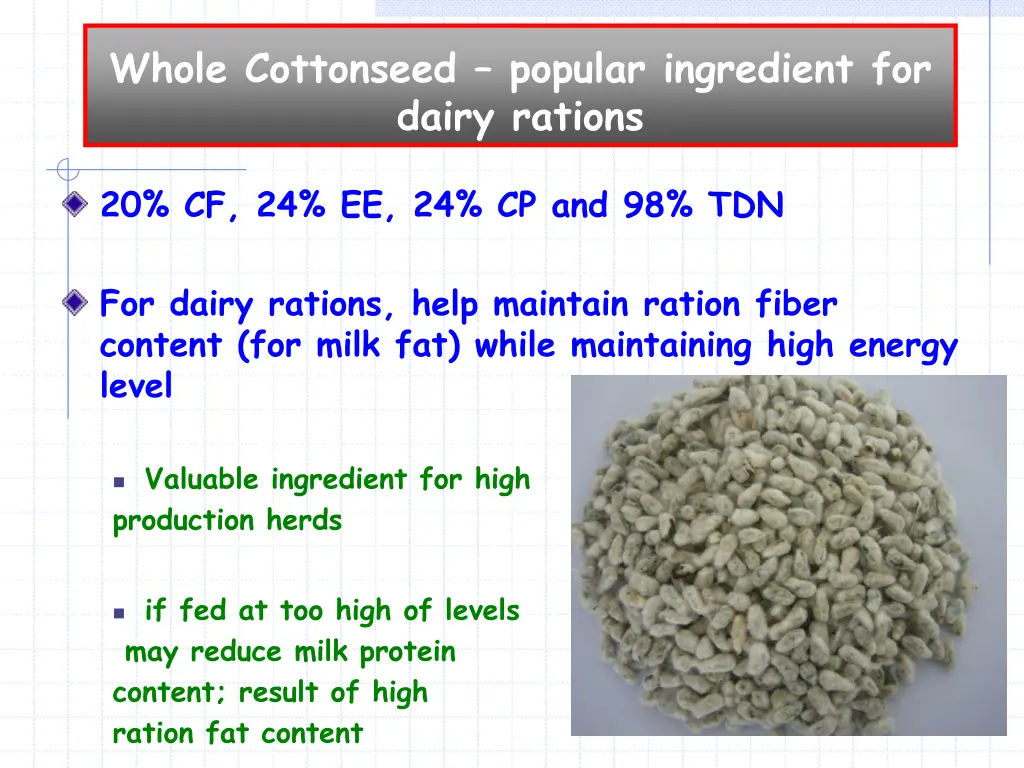 whole cottonseed popular ingredient for dairy