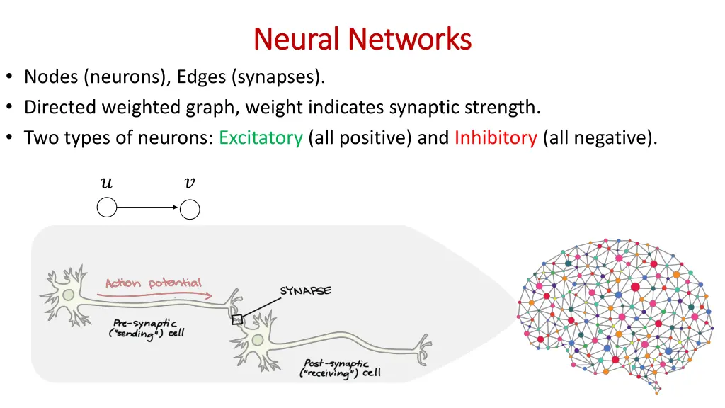 neural networks neural networks
