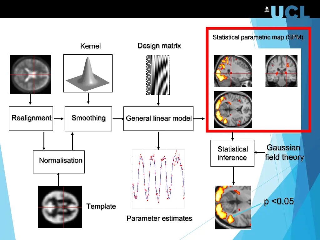 statistical parametric map spm