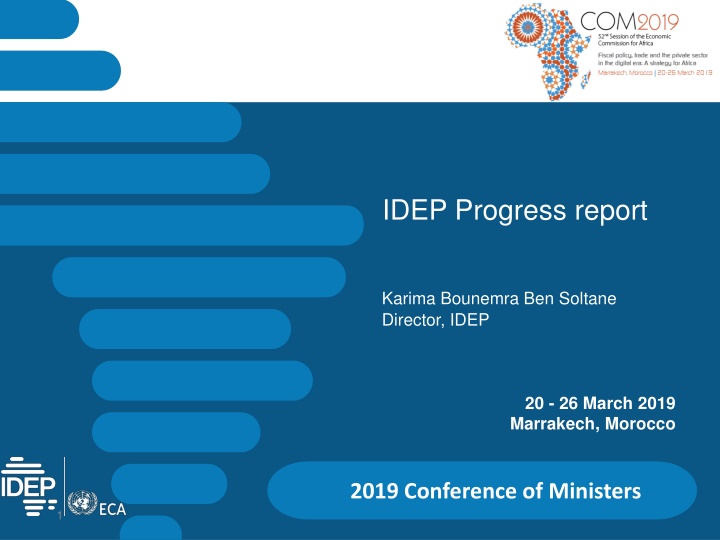 idep progress report