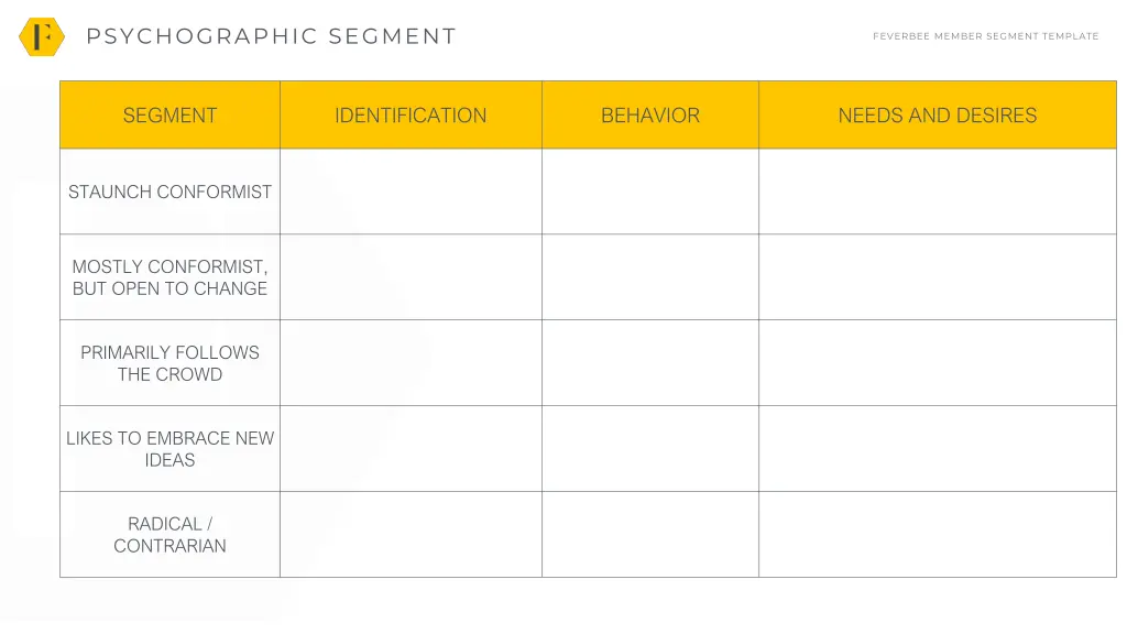 psychographic segment