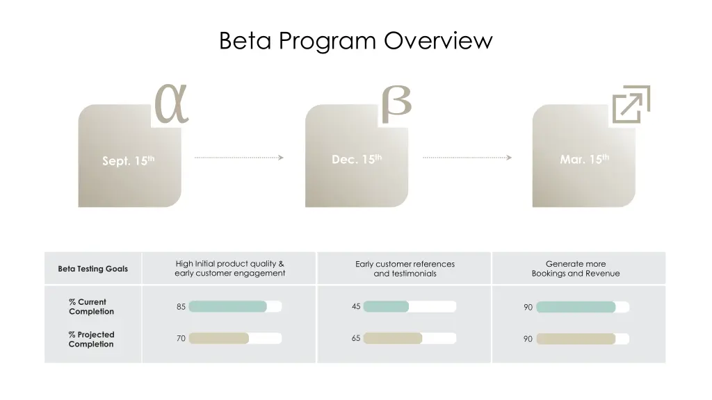 beta program overview