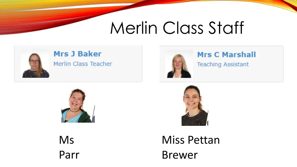 merlin class staff