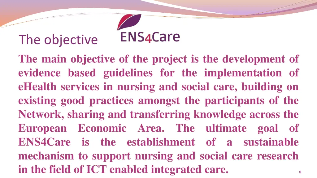 the objective the main objective of the project