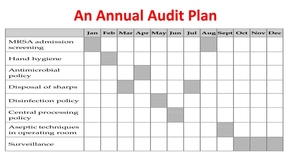 an annual audit plan