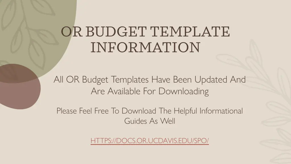 or budget template information