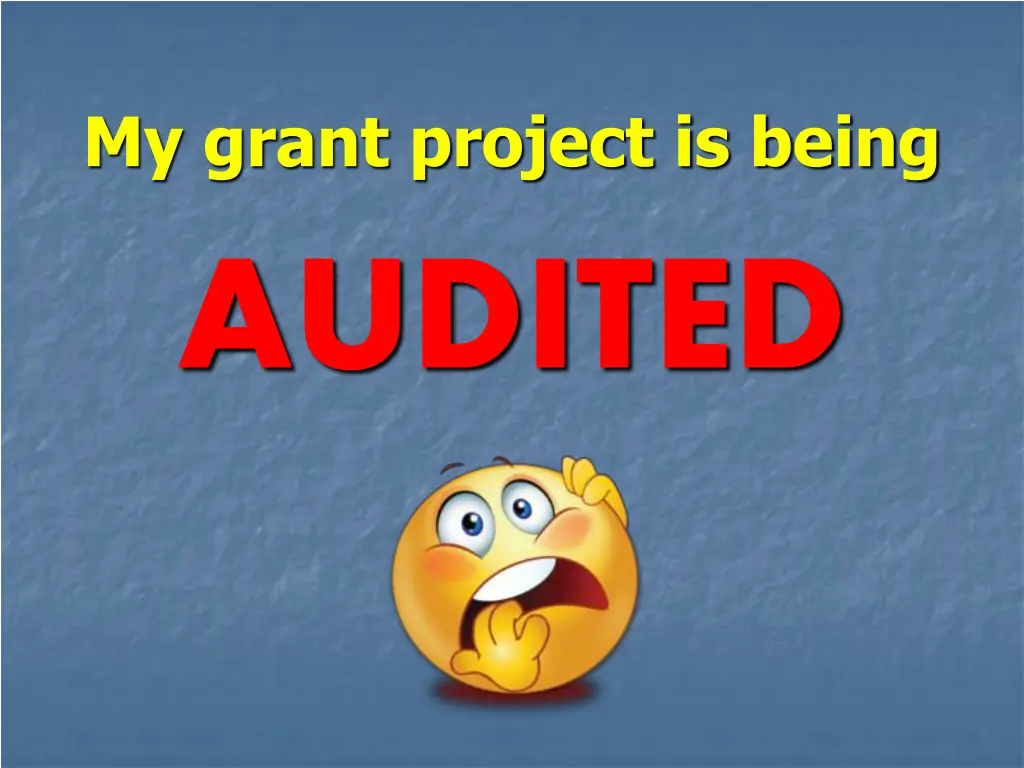my grant project is being audited