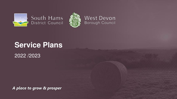 service plans