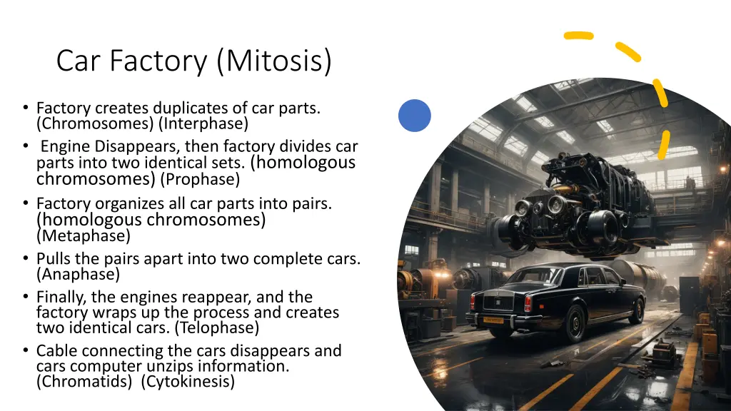 car factory mitosis