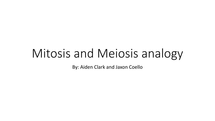 mitosis and meiosis analogy