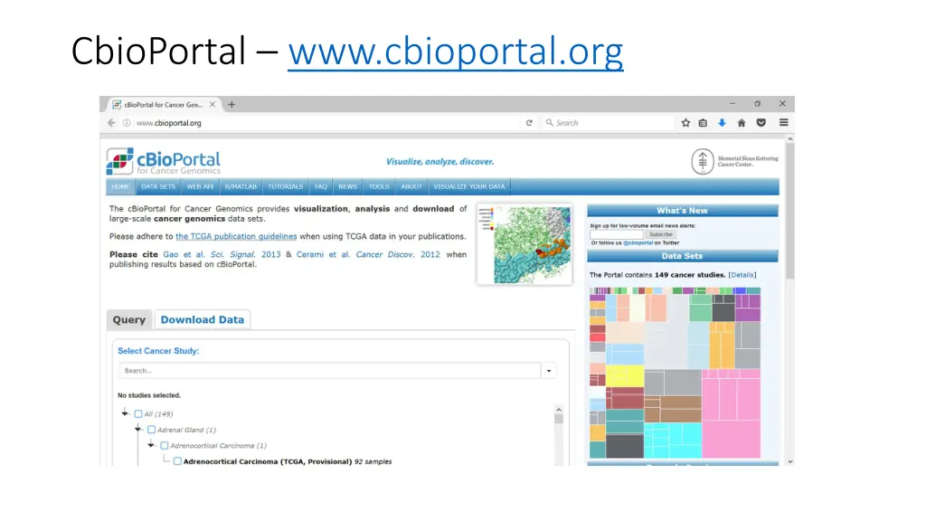 cbioportal www cbioportal org