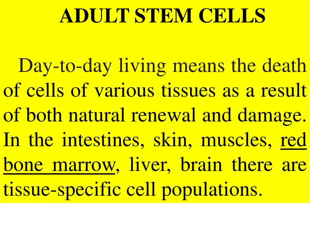 adult stem cells