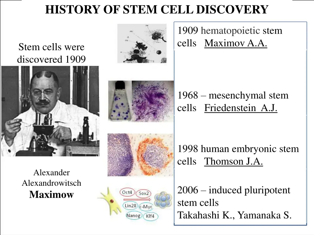 history of stem cell discovery