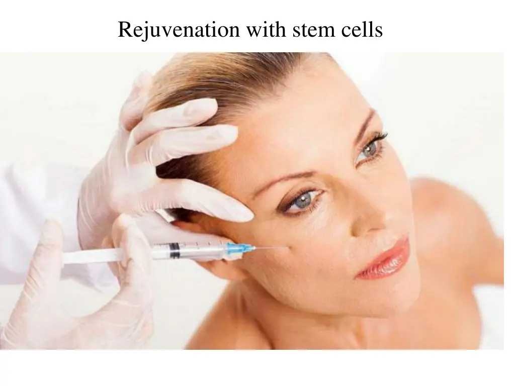 rejuvenation with stem cells 1
