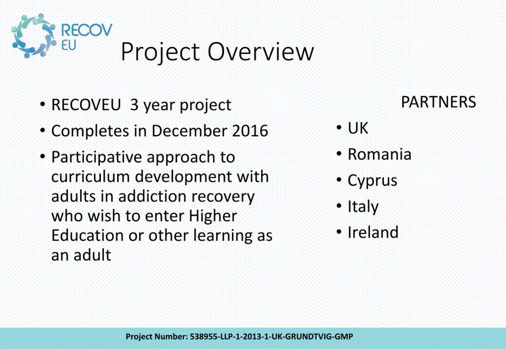 project overview