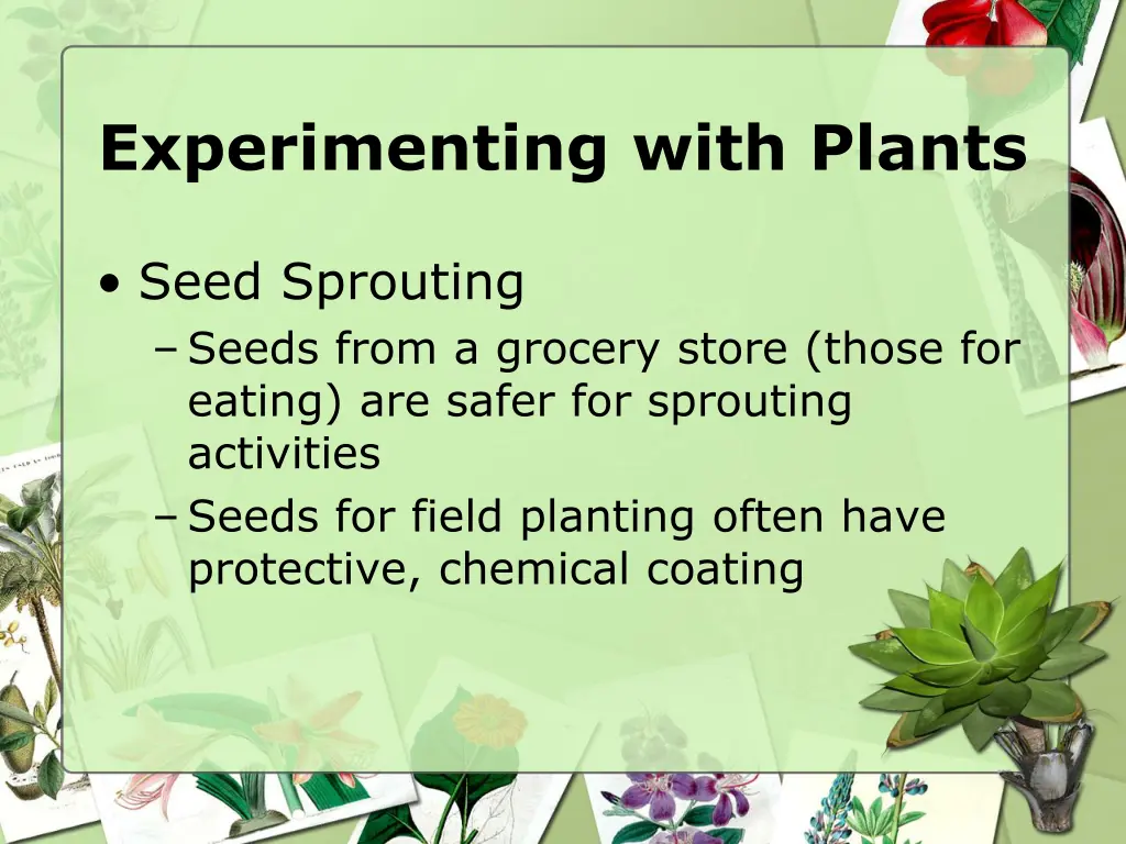 experimenting with plants