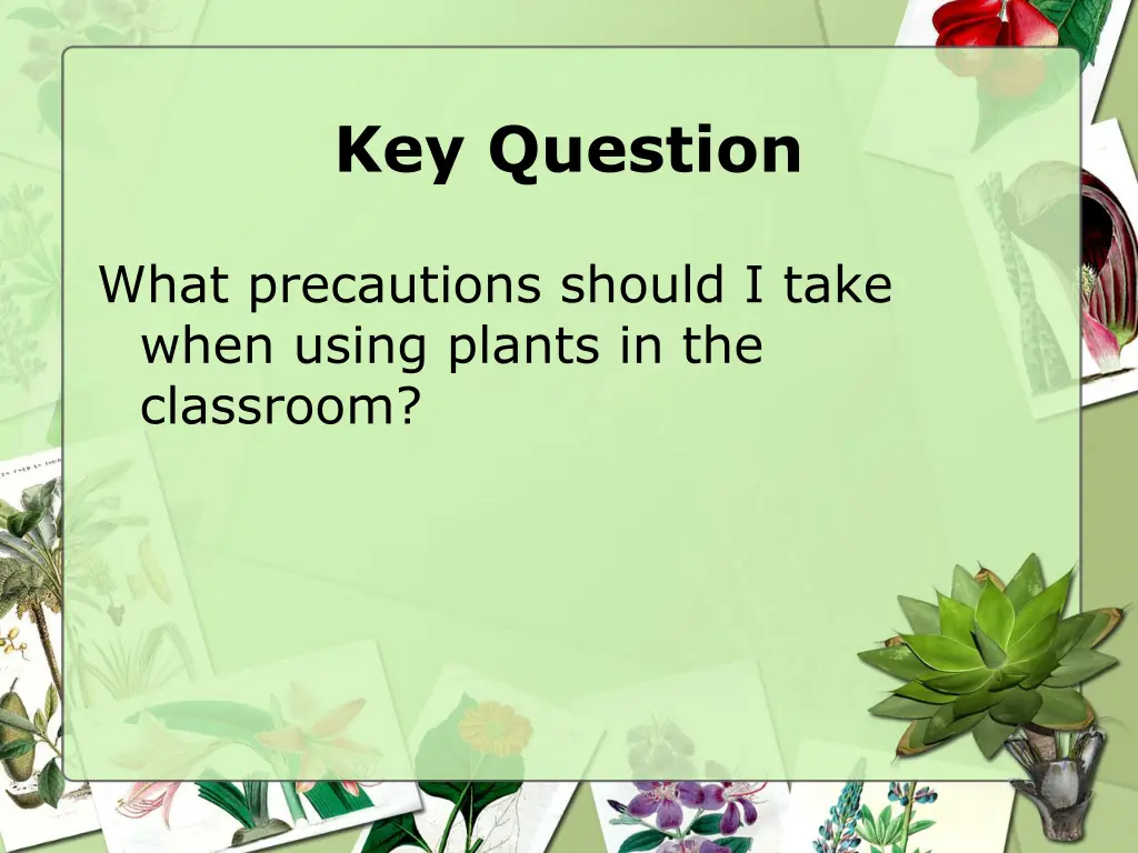 key question