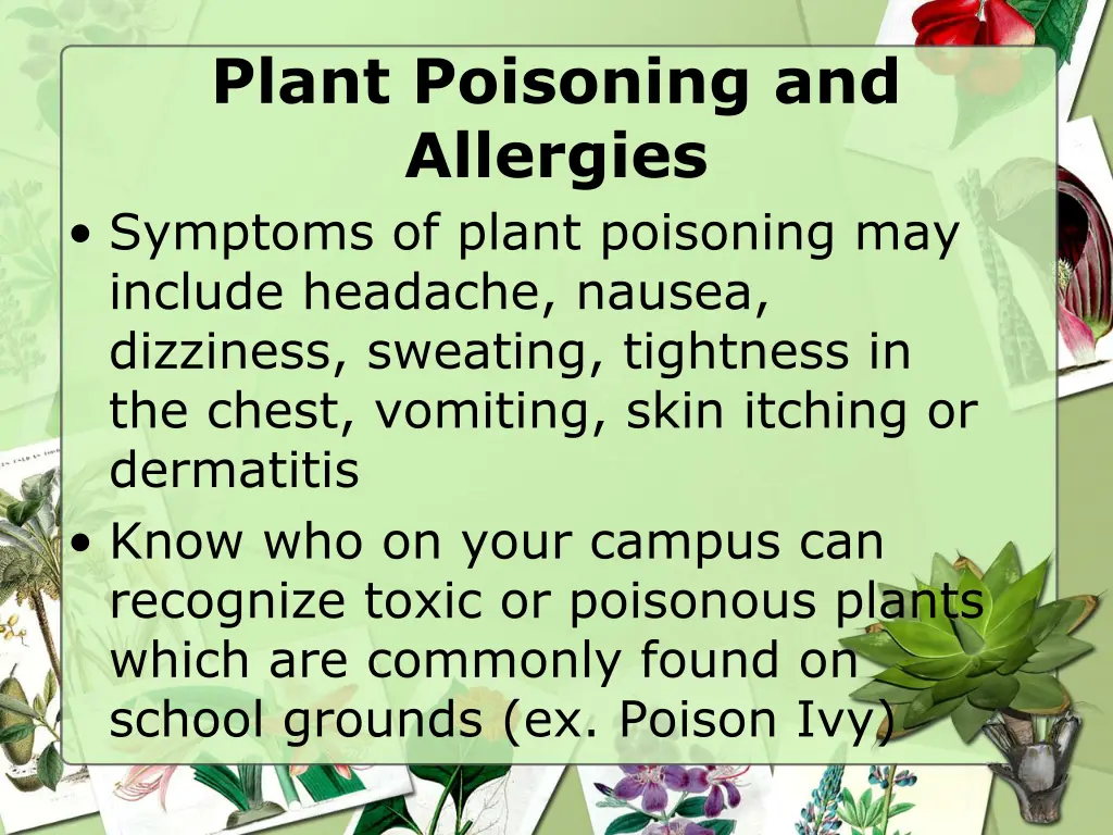 plant poisoning and allergies symptoms of plant
