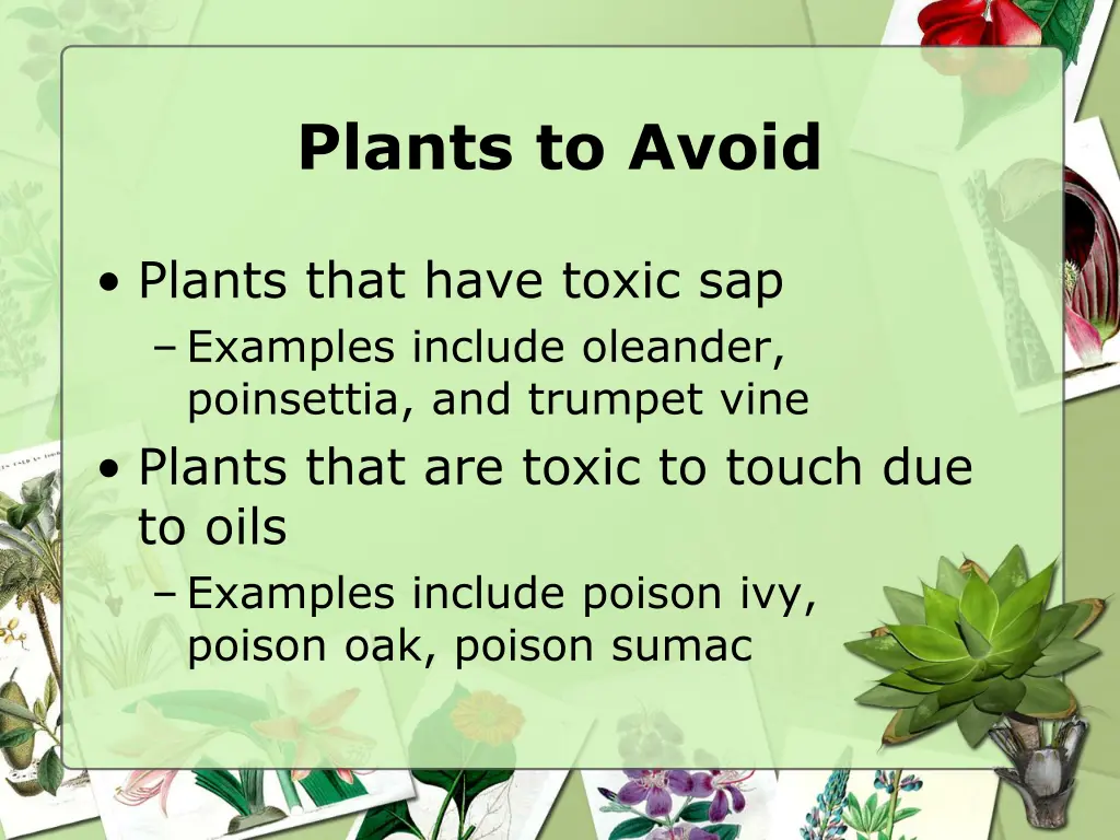 plants to avoid 1