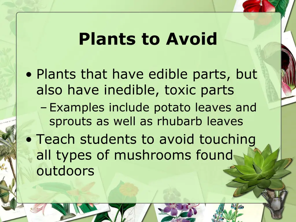 plants to avoid 2