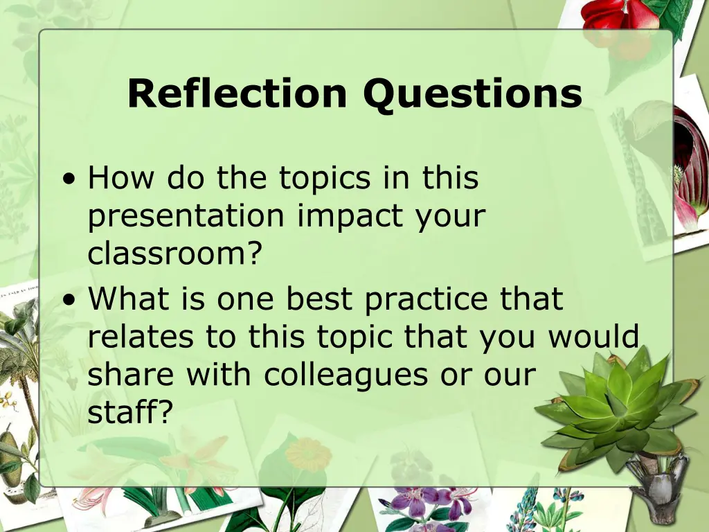 reflection questions
