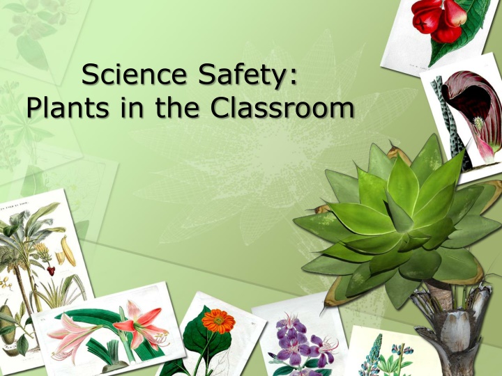 science safety plants in the classroom