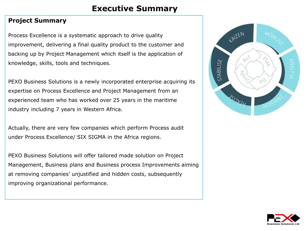 executive summary