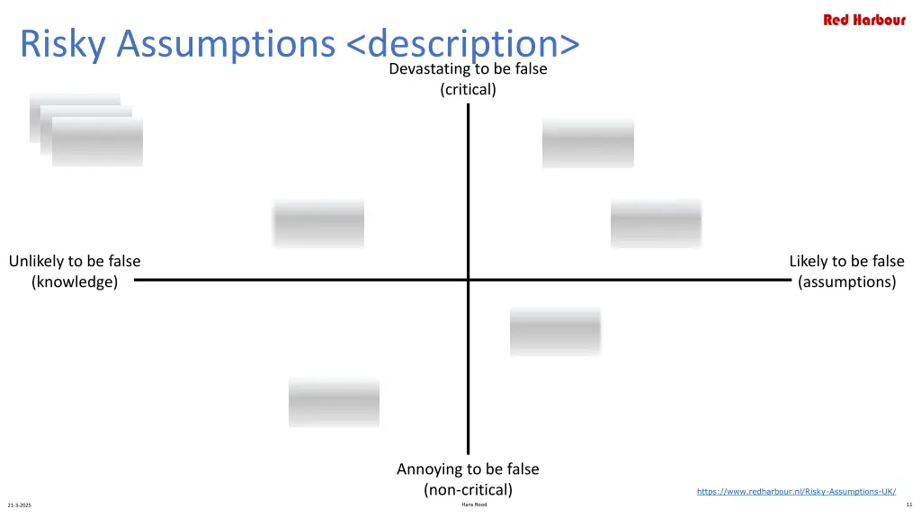 risky assumptions description