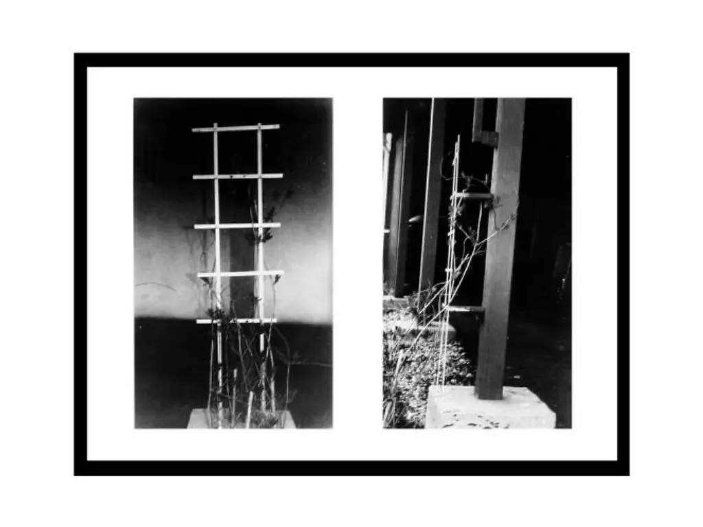 slide6
