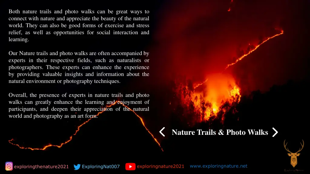 both nature trails and photo walks can be great