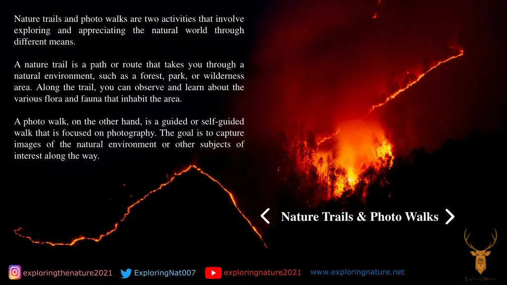nature trails and photo walks are two activities