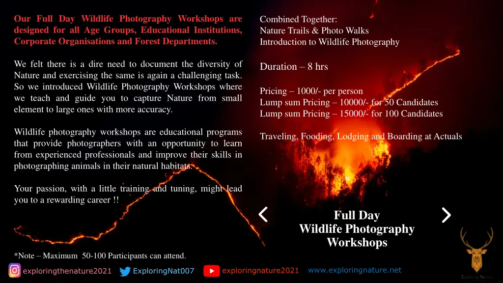 our full day wildlife photography workshops