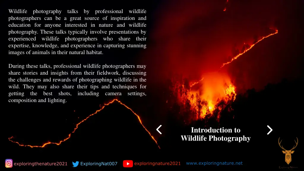 wildlife photography talks by professional