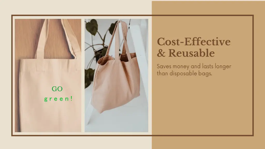 cost effective reusable