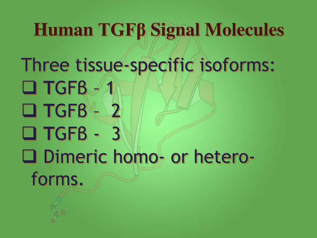 human tgf signal molecules