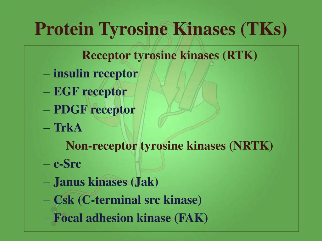 protein tyrosine kinases tks