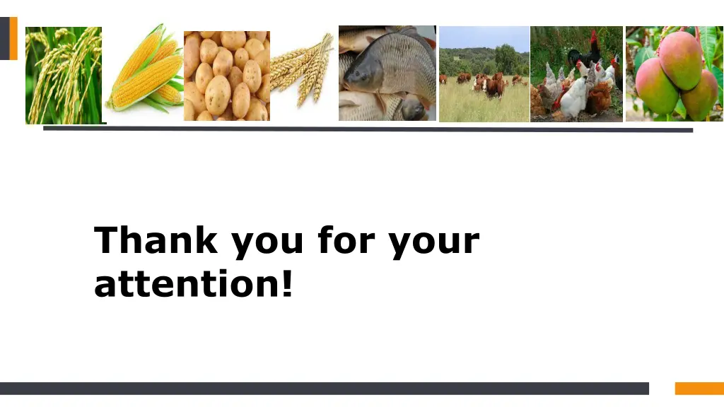 thank you for your attention