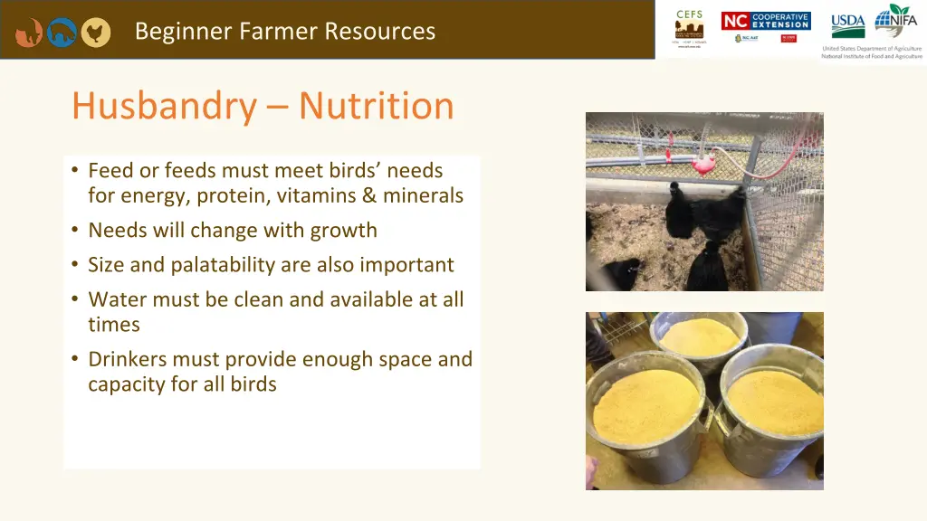 beginner farmer resources 1