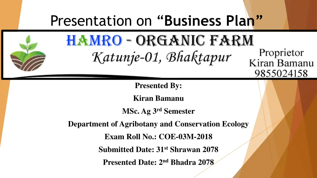 presentation on business plan
