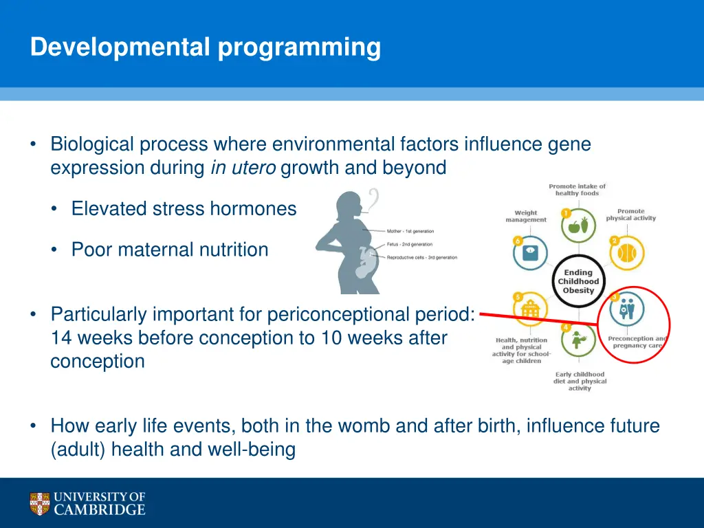 developmental programming