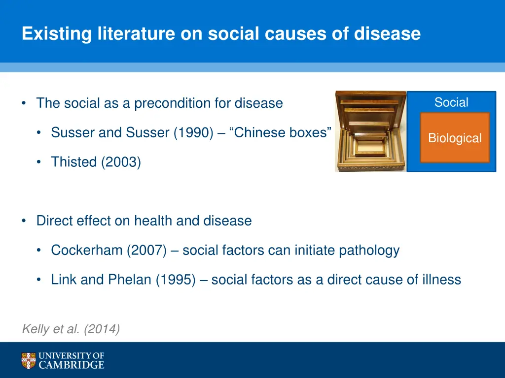 existing literature on social causes of disease