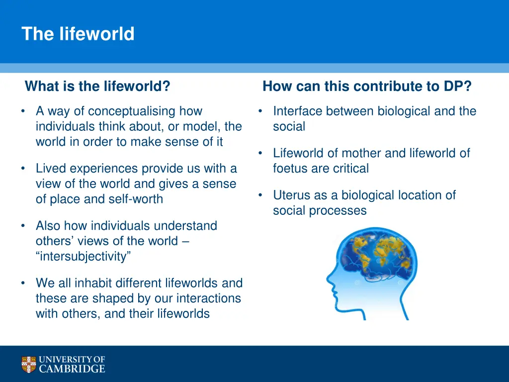 the lifeworld