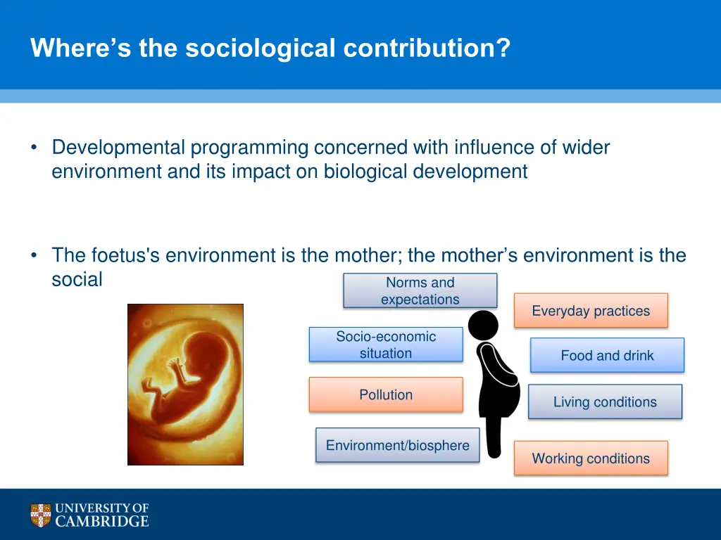where s the sociological contribution